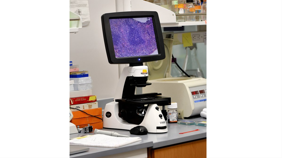 photo of lab equipment